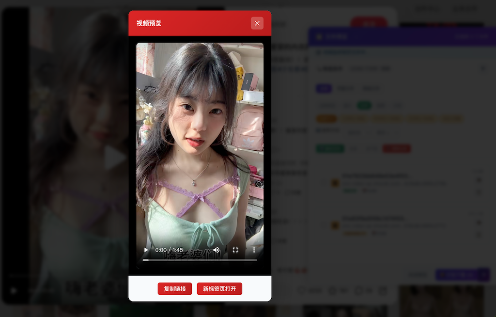 视频预览功能